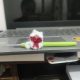 Chưa vui ngày nào