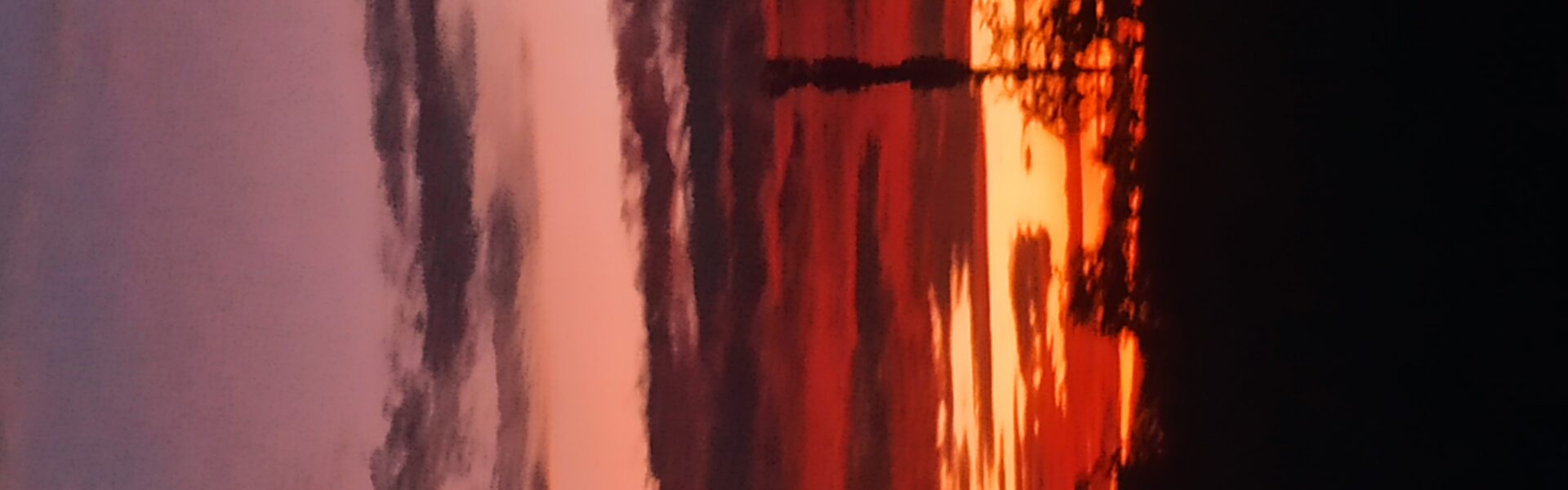 vutuongvy270808@gmail.com