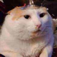 Má mì tóc bum bê