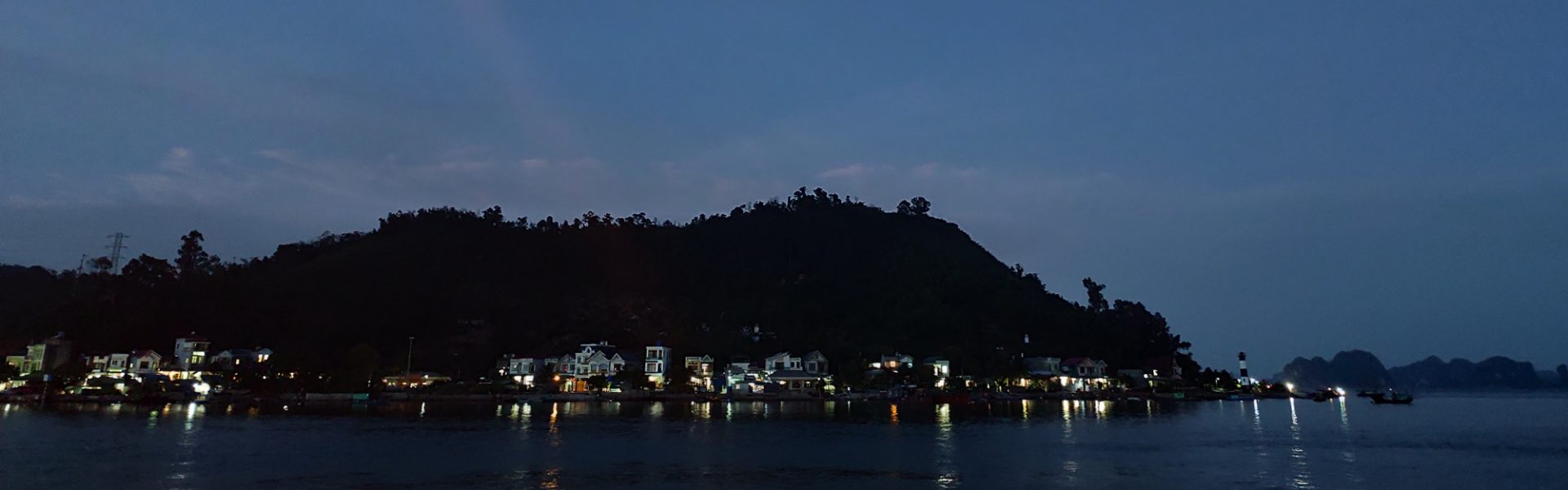 Mèo Không Ăn Cá